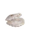 Mother of Pearl sand